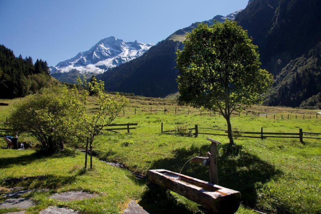 Apartamento Neuhaushof Hollersbach im Pinzgau Exterior foto