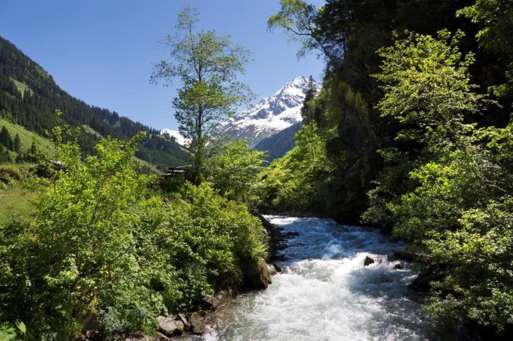 Apartamento Neuhaushof Hollersbach im Pinzgau Exterior foto