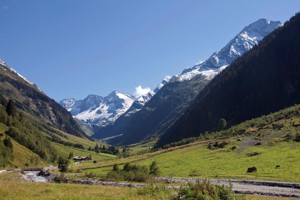 Apartamento Neuhaushof Hollersbach im Pinzgau Exterior foto